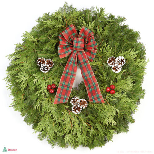 Premier Itascan Wreath (Product)